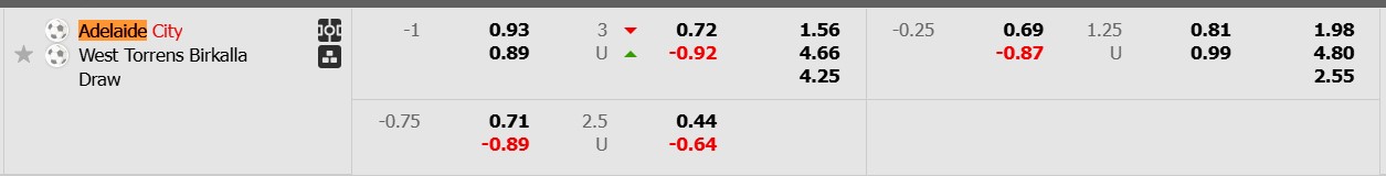Nhận định, soi kèo Adelaide City FC vs West Torrens Birkalla, 16h45 ngày 17/3: Không có bất ngờ - Ảnh 6