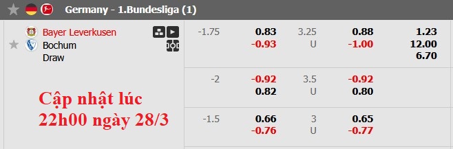 Nhận định, soi kèo Leverkusen vs Bochum, 2h30 ngày 29/3: 'Virus FIFA' tàn phá - Ảnh 8