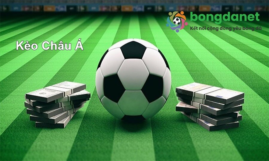 k&egrave;o nh&agrave; c&aacute;i ch&acirc;u &aacute;