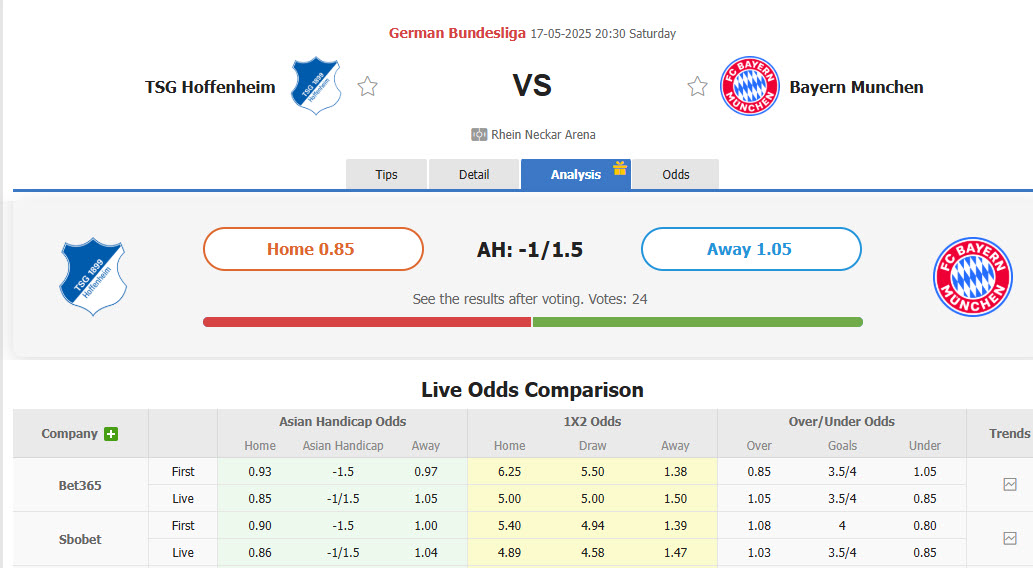 Nhận định, soi kèo Hoffenheim vs Bayern Munich, 20h30 ngày 17/5: Trong cơn men chiến thắng - Ảnh 1