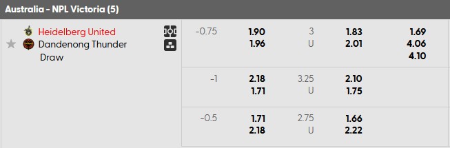 Nhận định, soi kèo Heidelberg vs Dandenong, 16h30 ngày 13/6: Chia điểm - Ảnh 5