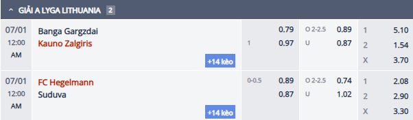 Nhận định, soi kèo Hegelmann vs Suduva, 23h00 ngày 30/6: Đối thủ khó nhằn - Ảnh 1