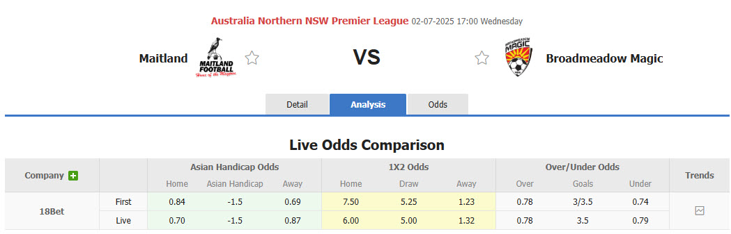 Nhận định, soi kèo Maitland FC vs Broadmeadow Magic, 17h00 ngày 1/7: Nỗ lực chống trả - Ảnh 1