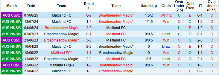 Nhận định, soi kèo Maitland FC vs Broadmeadow Magic, 17h00 ngày 1/7: Nỗ lực chống trả - Ảnh 4