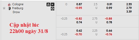 Nhận định, soi kèo Koln vs Freiburg, 0h30 ngày 1/9: Ngang cơ - Ảnh 6