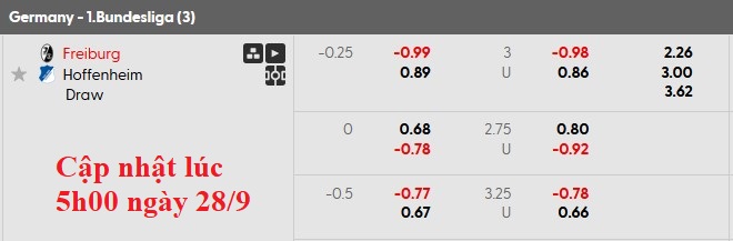 Nhận định, soi kèo Freiburg vs Hoffenheim, 20h30 ngày 28/9: 49 gặp 50 - Ảnh 5