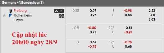 Nhận định, soi kèo Freiburg vs Hoffenheim, 20h30 ngày 28/9: 49 gặp 50 - Ảnh 6