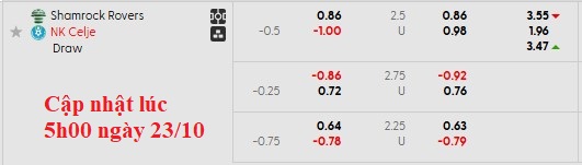 Nhận định, soi kèo Shamrock Rovers vs Celje, 2h00 ngày 24/10: Chủ nhà có điểm - Ảnh 5
