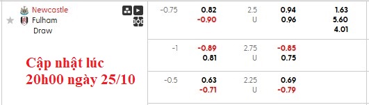 Nhận định, soi kèo Newcastle vs Fulham, 21h00 ngày 25/10: Chích chòe hót vang - Ảnh 6