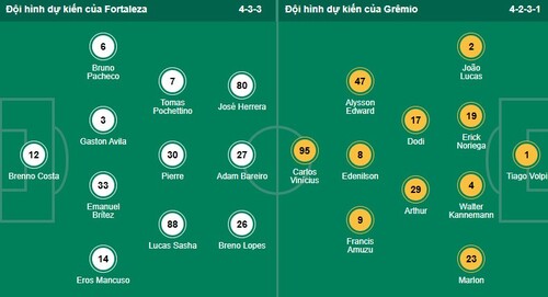 Nhận định, soi kèo Fortaleza vs Gremio - Ảnh 1