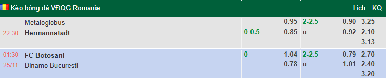 Nhận định, soi kèo Botosani vs Dinamo Bucuresti, 1h30 ngày 25/11: Bất phân thắng bại - Ảnh 1