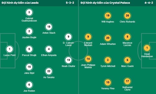 Nhận định, soi kèo Leeds vs Crystal Palace - Ảnh 1