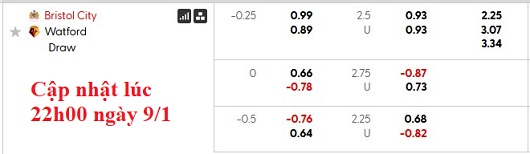 Nhận định, soi kèo Bristol vs Watford, 0h45 ngày 11/1: Vé cho đội khách - Ảnh 4