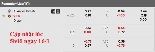 Nhận định, soi kèo Arges vs FCSB, 1h00 ngày 17/1: Khách lấn chủ - Ảnh 5