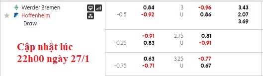 Nhận định, soi kèo Bremen vs Hoffenheim, 2h30 này 28/1: Mất phương hướng - Ảnh 7