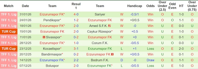 Nhận định, soi kèo Fenerbahce vs Erzurumspor, 0h30 ngày 6/2: Không đơn giản - Ảnh 3