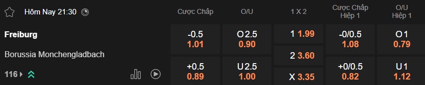Nhận định, soi kèo Freiburg vs M'gladbach, 21h30 ngày 22/2: Bệ phóng Europa-Park - Ảnh 5
