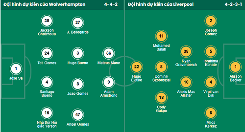 Chuy&ecirc;n gia dự đo&aacute;n trận Wolves vs Liverpool - Ảnh 1
