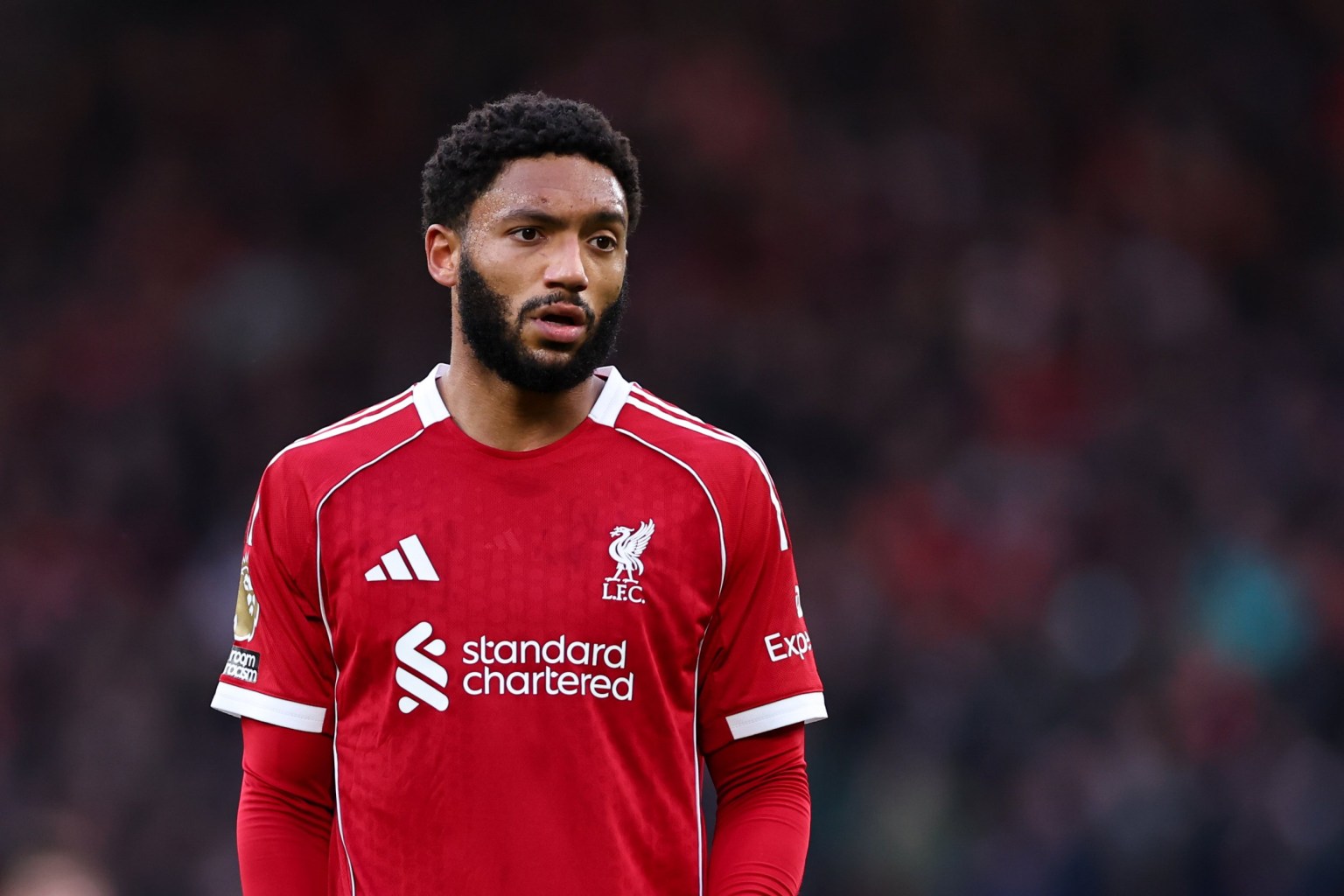 Liverpool đại phẫu, muốn b&aacute;n 7 cầu thủ trong m&ugrave;a h&egrave; - Ảnh 1