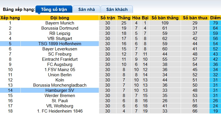 Nhận định, soi kèo Hamburg vs Hoffenheim, 23h30 ngày 25/4: Chen chân vào Top 4 - Ảnh 1