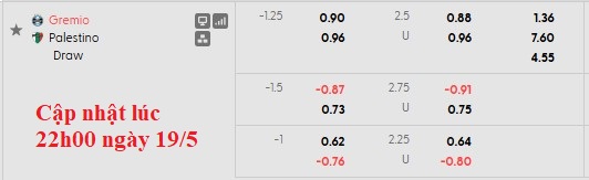Nhận định, soi kèo Gremio vs Palestino, 7h00 ngày 21/5: Nhọc nhằn vượt ải - Ảnh 5