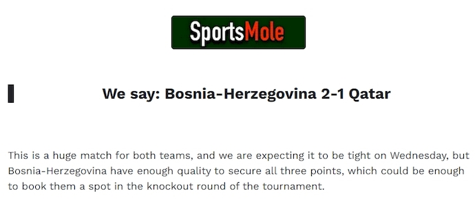 Chuy&ecirc;n gia Tony Ansell dự đo&aacute;n Bosnia vs Qatar, 2h00 ng&agrave;y 25/6 - Ảnh 1
