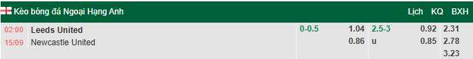 Nhận định, soi kèo Leeds vs Newcastle, 2h00 ngày 15/9: Cân tài ngang sức - Ảnh 1