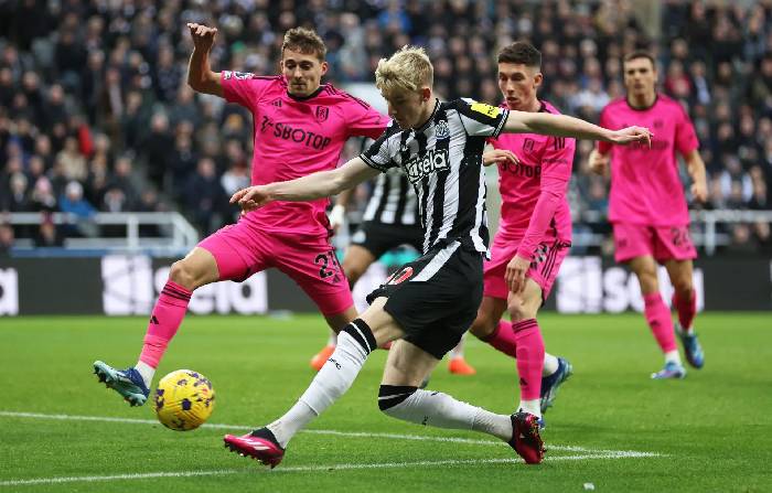Siêu máy tính dự đoán Newcastle vs Fulham, 22h00 ngày 1/2