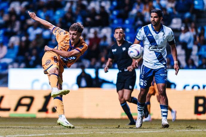 Nhận định, soi k&egrave;o Atletico San Luis với Puebla, 8h00 ng&agrave;y 2/3: Lấy lại phong độ