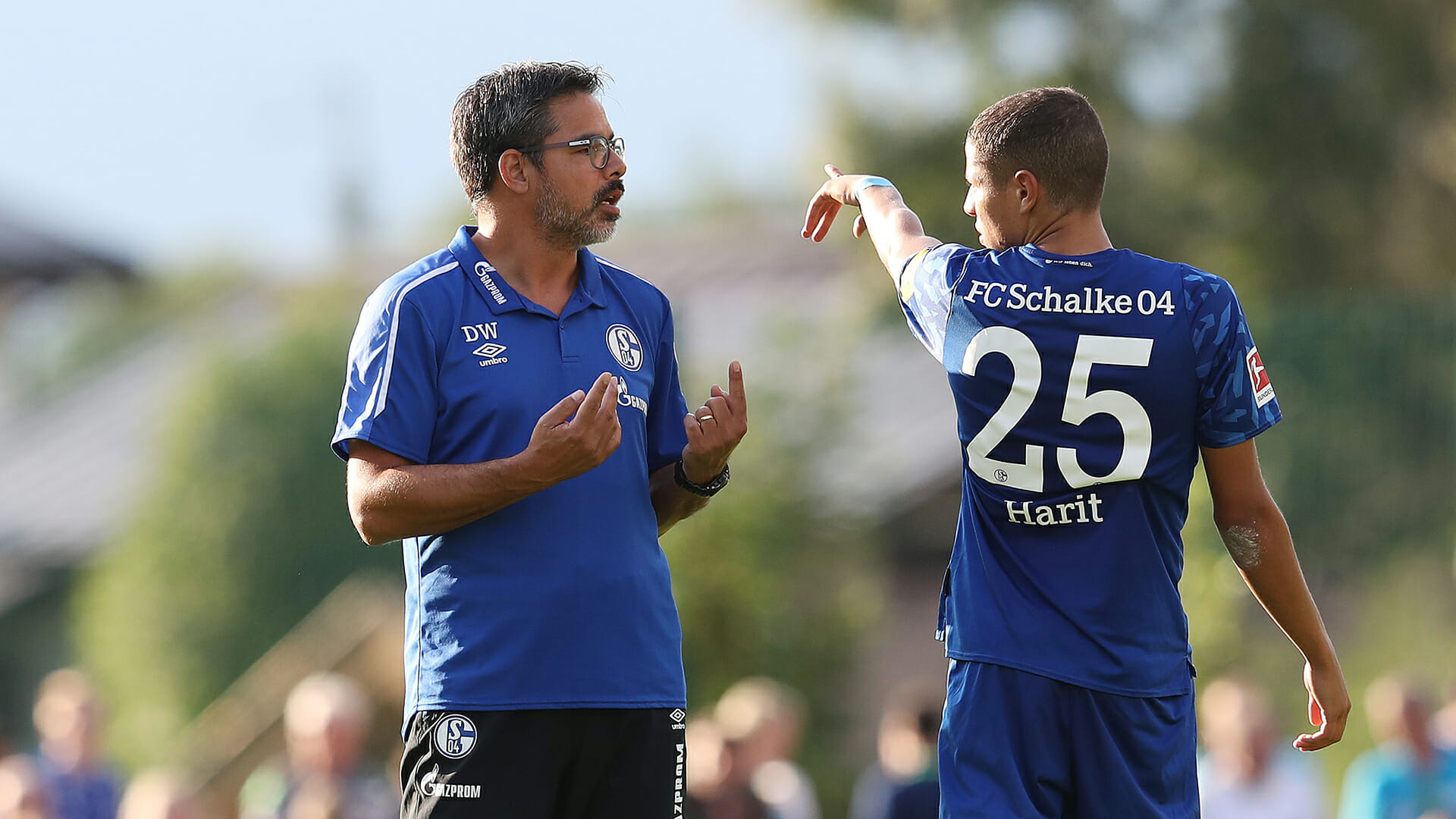 Phân tích tỷ lệ Schalke 04 vs Alanyaspor, 19h ngày 2/8