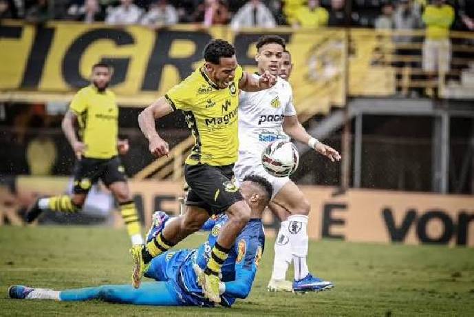 Nhận định, soi kèo Sao Bernardo vs CRB, 5h30 ngày 3/10: Tiếp cận tốp trên