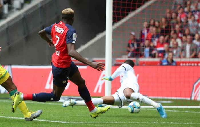 Nhận định, soi kèo Lille vs Reims, 23h ngày 2/1