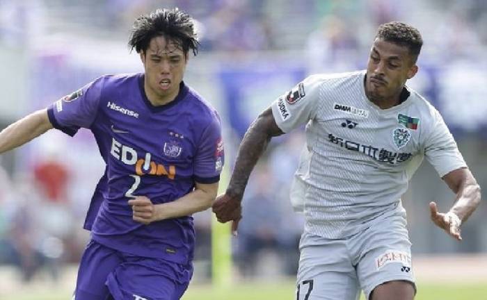 Nhận định, soi kèo Sanfrecce Hiroshima vs Avispa Fukuoka, 11h00 ngày 3/5: Tìm lại niềm vui
