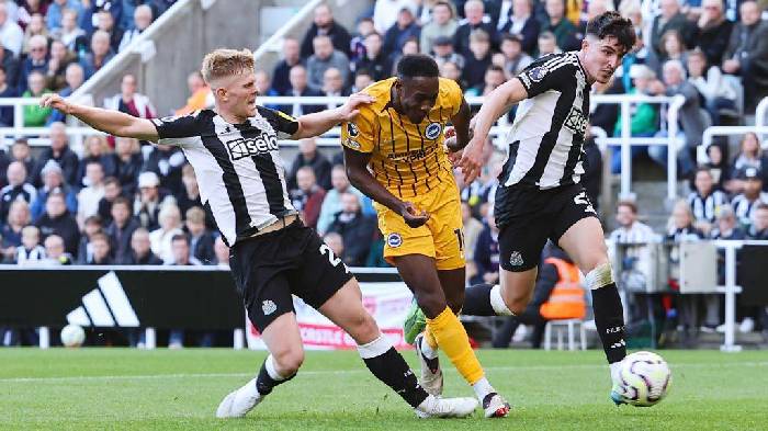 Nhận định, soi kèo Newcastle vs Brighton, 21h00 ngày 2/5: Bắn hạ Chích chòe