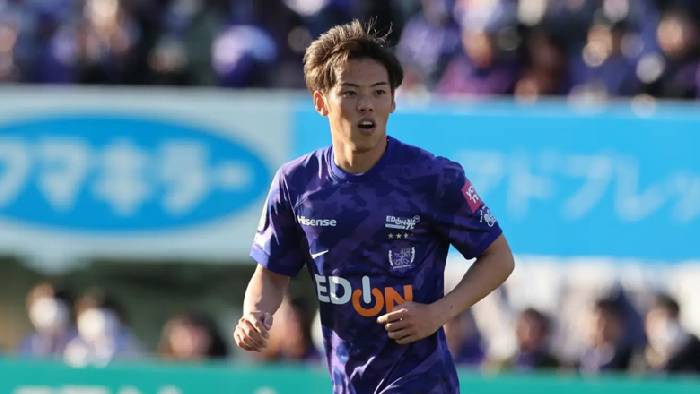 Nhận định, soi kèo Avispa Fukuoka vs Sanfrecce Hiroshima, 12h00 ngày 3/12