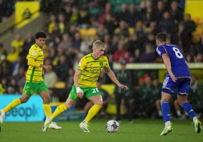 Nhận định, soi k&egrave;o Birmingham với Norwich City, 18h30 ng&agrave;y 4/5: Chủ nh&agrave; tiếp tục ch&igrave;m