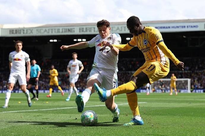 Nhận định, soi kèo Brighton vs Leeds, 21h00 ngày 5/9: Cải thiện thành tích