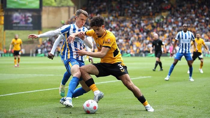 Nhận định, soi kèo Wolves vs Brighton, 20h00 ngày 5/10: Không bất ngờ