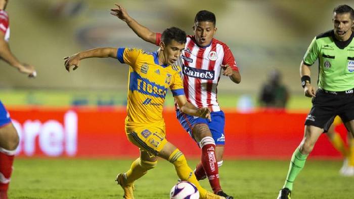 Nhận định, soi kèo Tigres UANL vs Atletico San Luis, 6h00 ngày 5/11