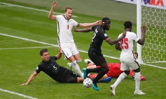 Tiên tri mèo Cass dự đoán Đức vs Anh, 1h45 ngày 8/6