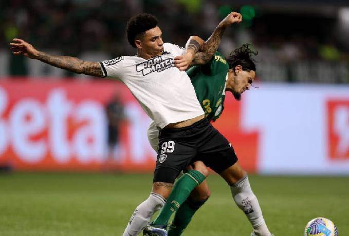 Nhận định, soi kèo Botafogo vs Palmeiras, 04h30 ngày 07/09: Áp lực ngàn cân