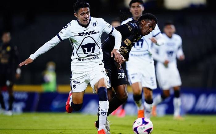 Nhận định, soi kèo Dorados vs Tabasco, 10h05 ngày 9/2