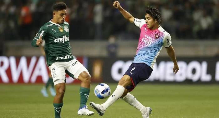 Nhận định, soi kèo Cerro Porteno vs Palmeiras, 07h30 ngày 9/5: Chủ nhà thêm một lần đau