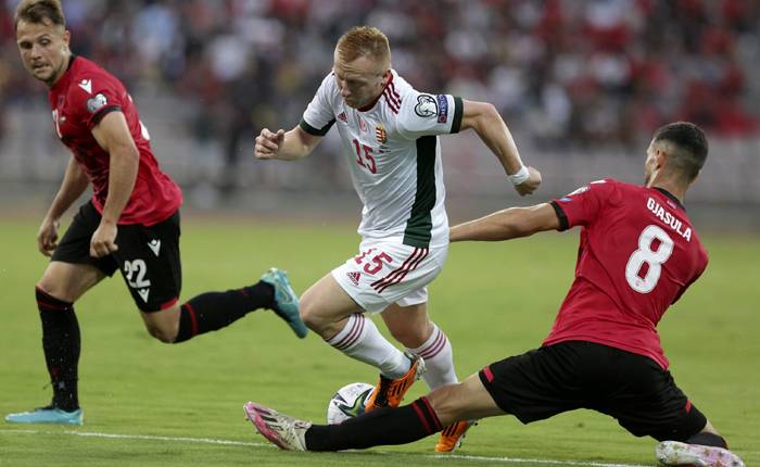 Nhận định, soi kèo Hungary vs Albania, 1h45 ngày 10/10