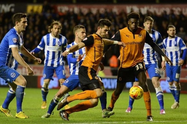 Phân tích tỷ lệ Brighton vs Wolves, 23h30 ngày 8/12