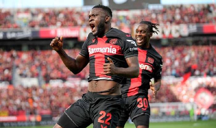 Nhận định, soi k&egrave;o Bayer Leverkusen vs Wolfsburg, 01h30 ng&agrave;y 11/3: Săn s&oacute;i