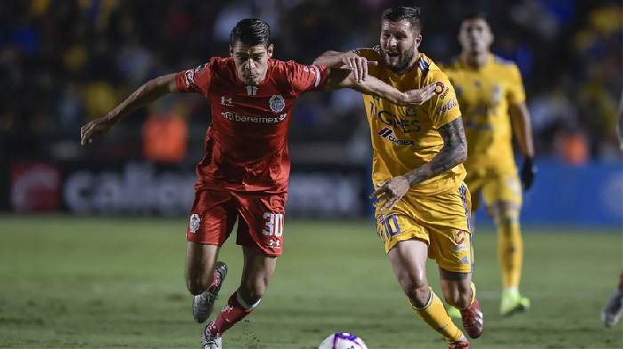 Nhận định, soi kèo Tigres UANL vs Toluca, 10h10 ngày 12/5