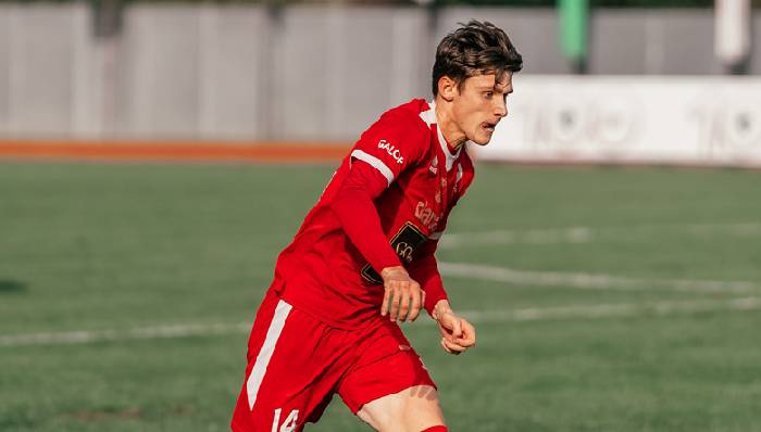 Nhận định, soi kèo Gorica vs Slovan Ljubljana, 21h00 ngày 12/10: Khó cho cửa trên