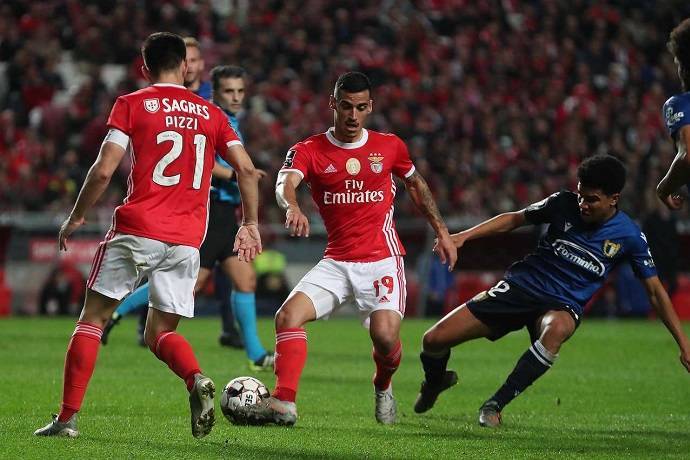 Nhận định, soi kèo Famalicao vs Benfica, 1h ngày 13/12