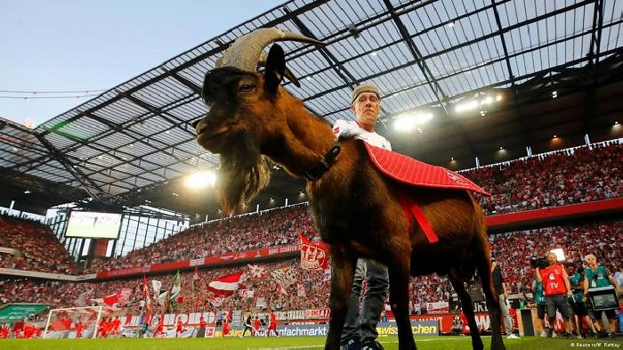 Nhận định, soi kèo Koln vs Heidenheim 1846, 21h30 ngày 13/1